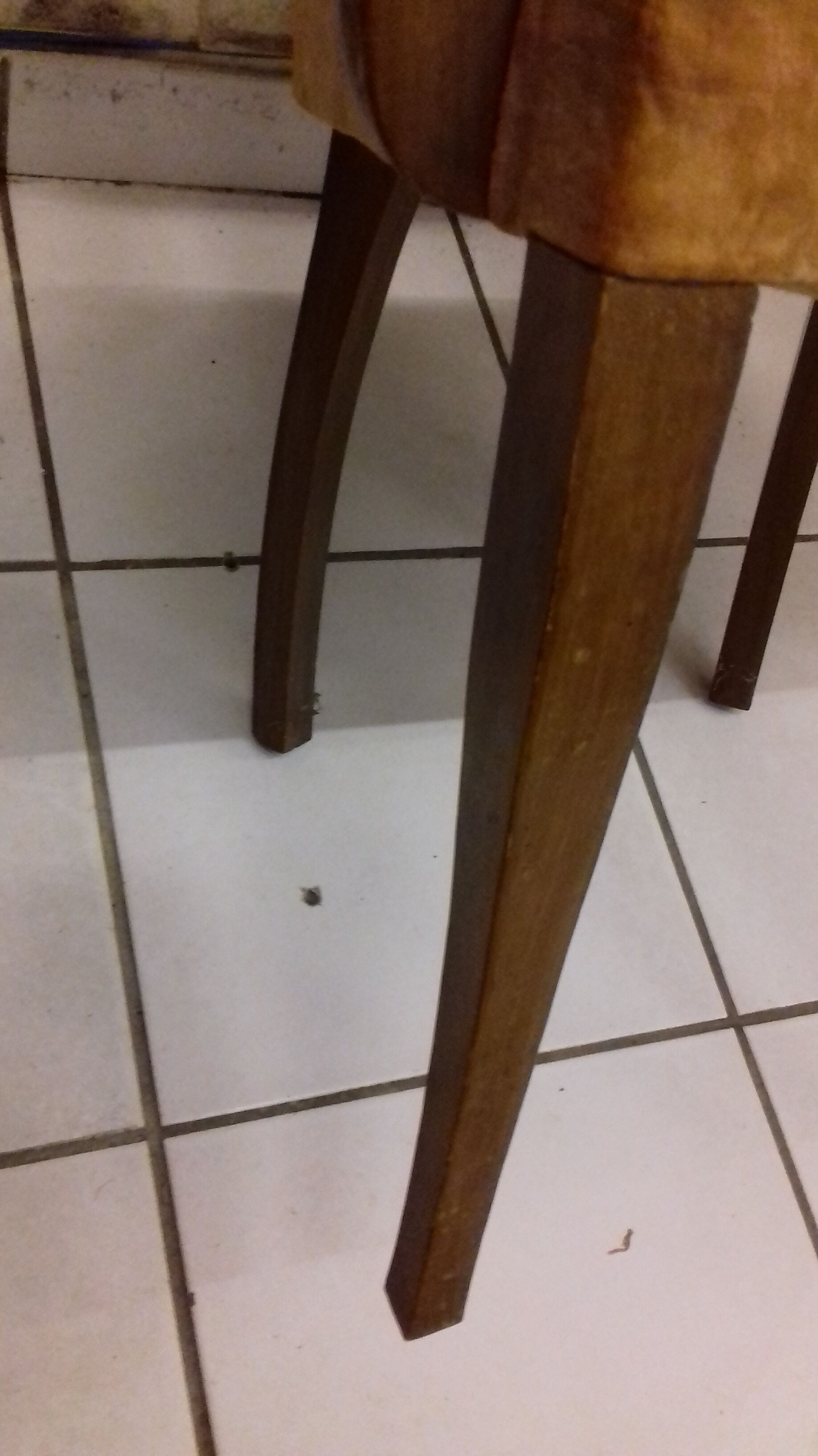 Bridge chair