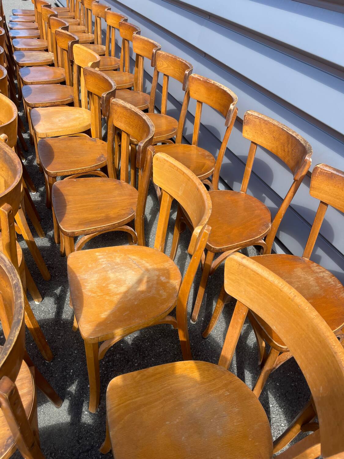 Lot of 60 wooden bistro chairs from the Baumann 1970s