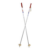 Vintage ski poles