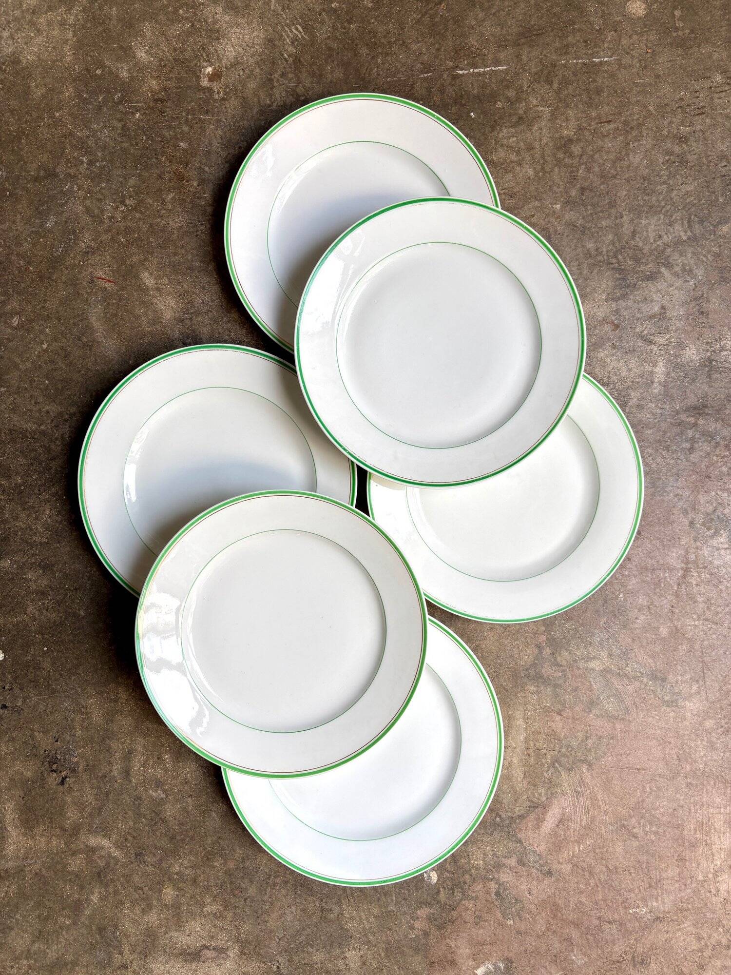 6 Ed. Honoré dinner plates in pale green and gold porcelain