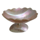 Antique ring sizer – Empty pocket – Mother-of-pearl, early 20th century