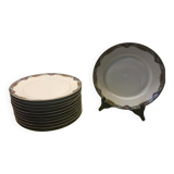 12 flat plates Havilland