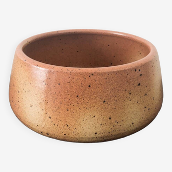 Salad bowl with pot