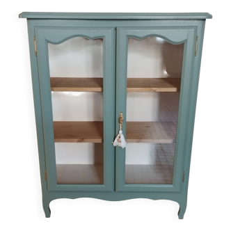 Vintage library display case