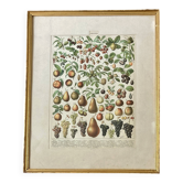 Decorative kitchen board - Fruit board - Golden frame