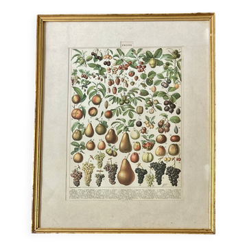 Decorative kitchen board - Fruit board - Golden frame