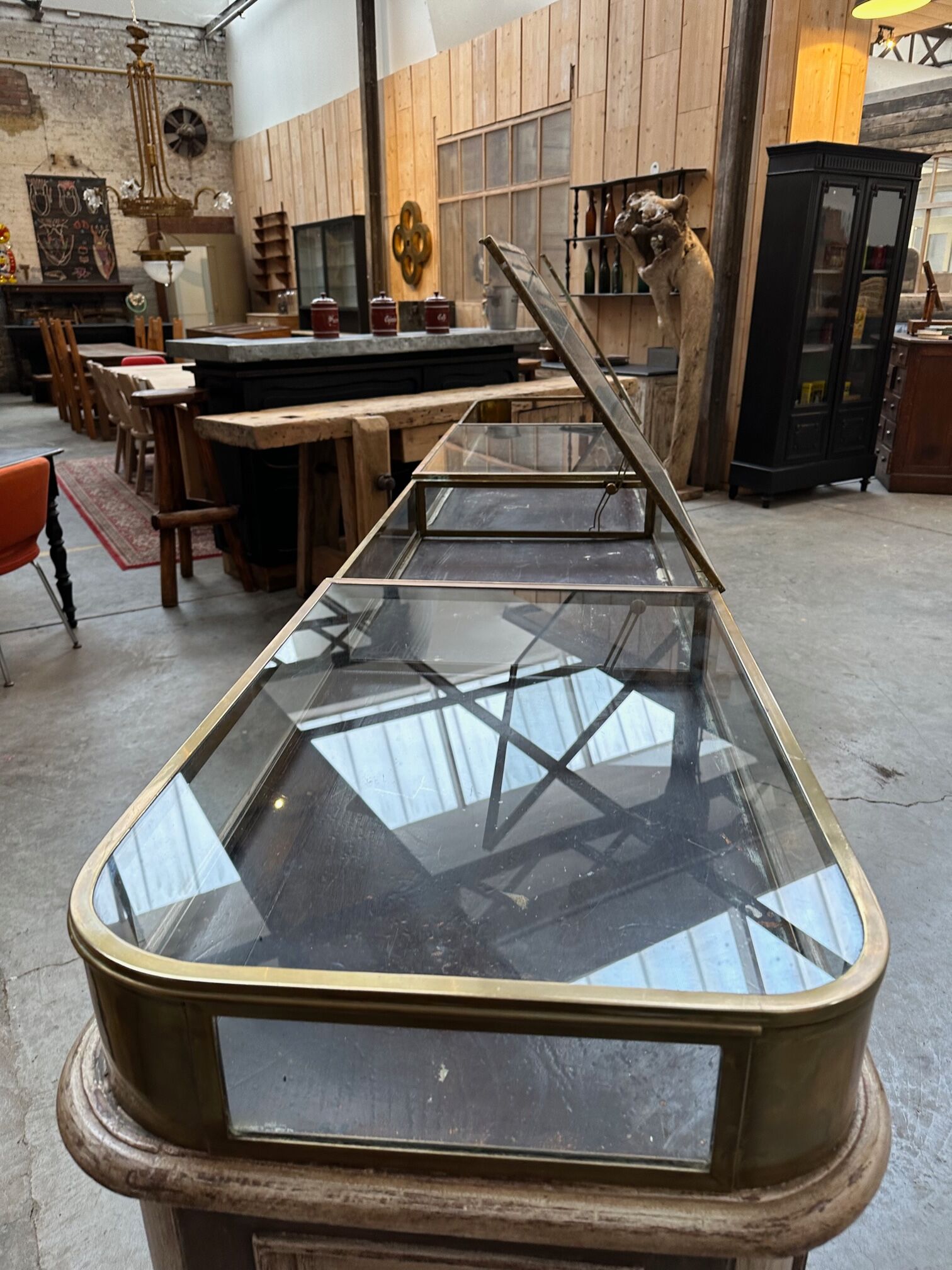 Showcase counter early twentieth century