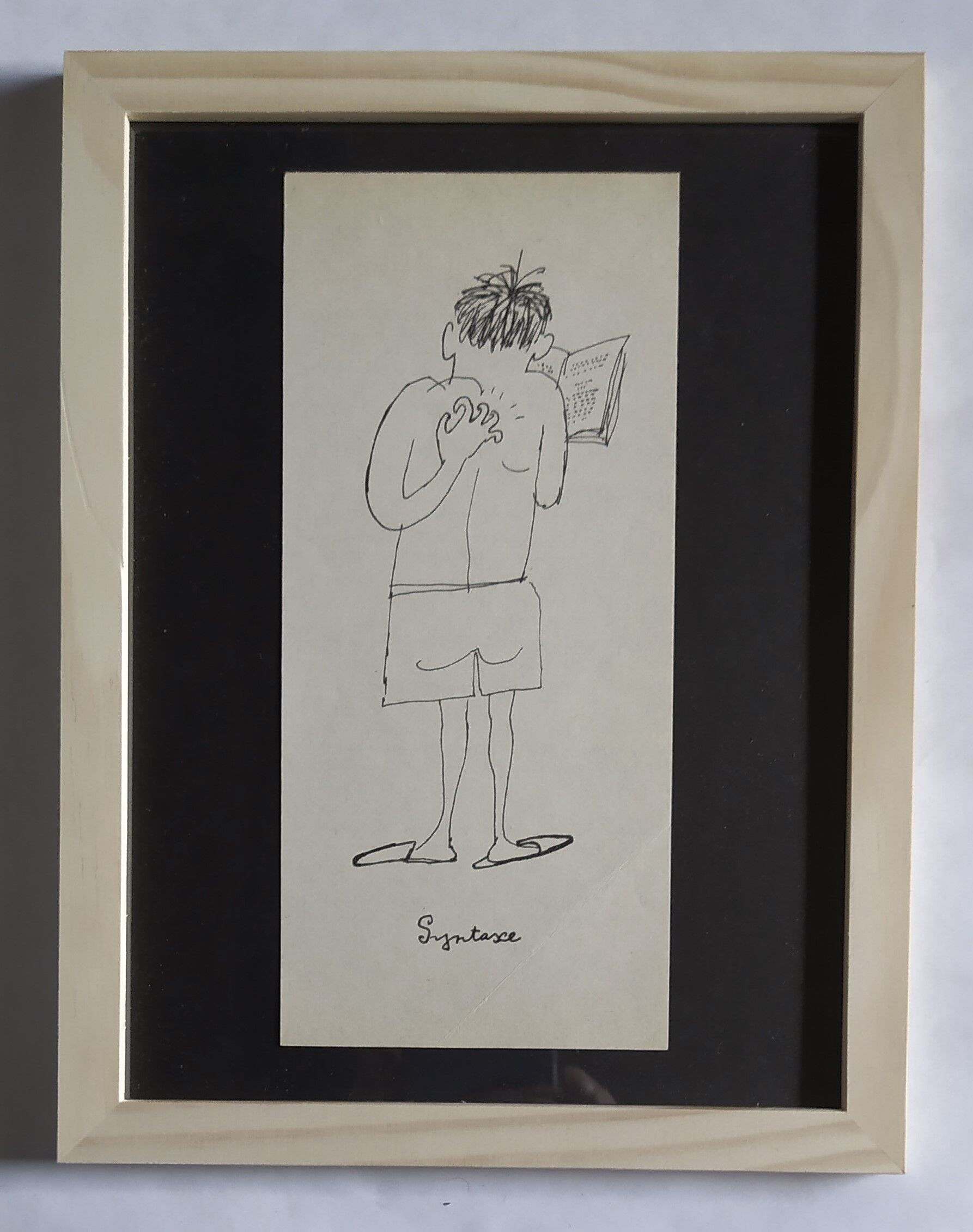 Illustration daninos "syntax "