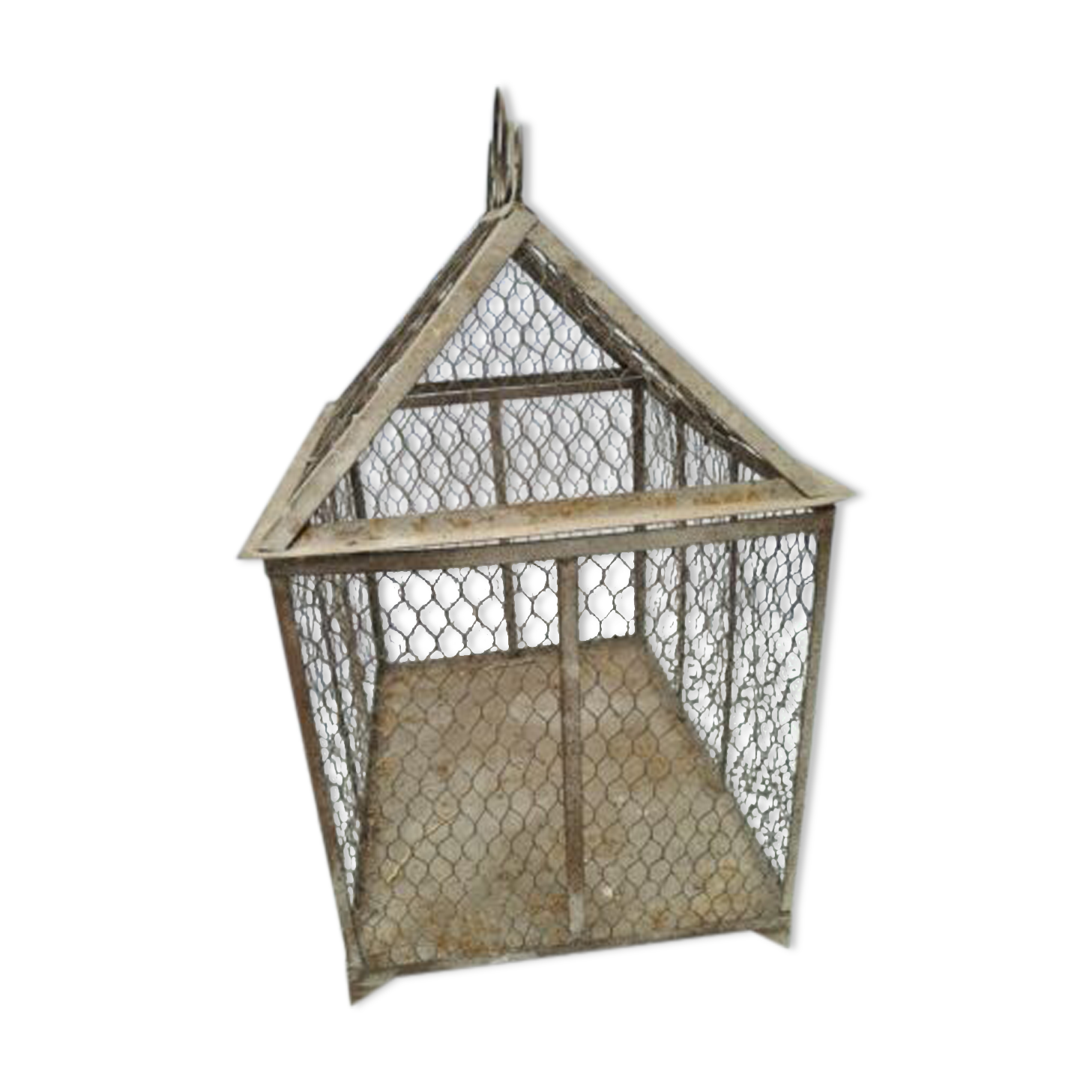 Iron bird cage