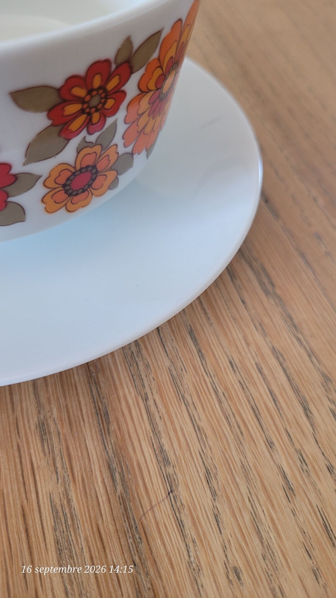 Bol vintage monobloc