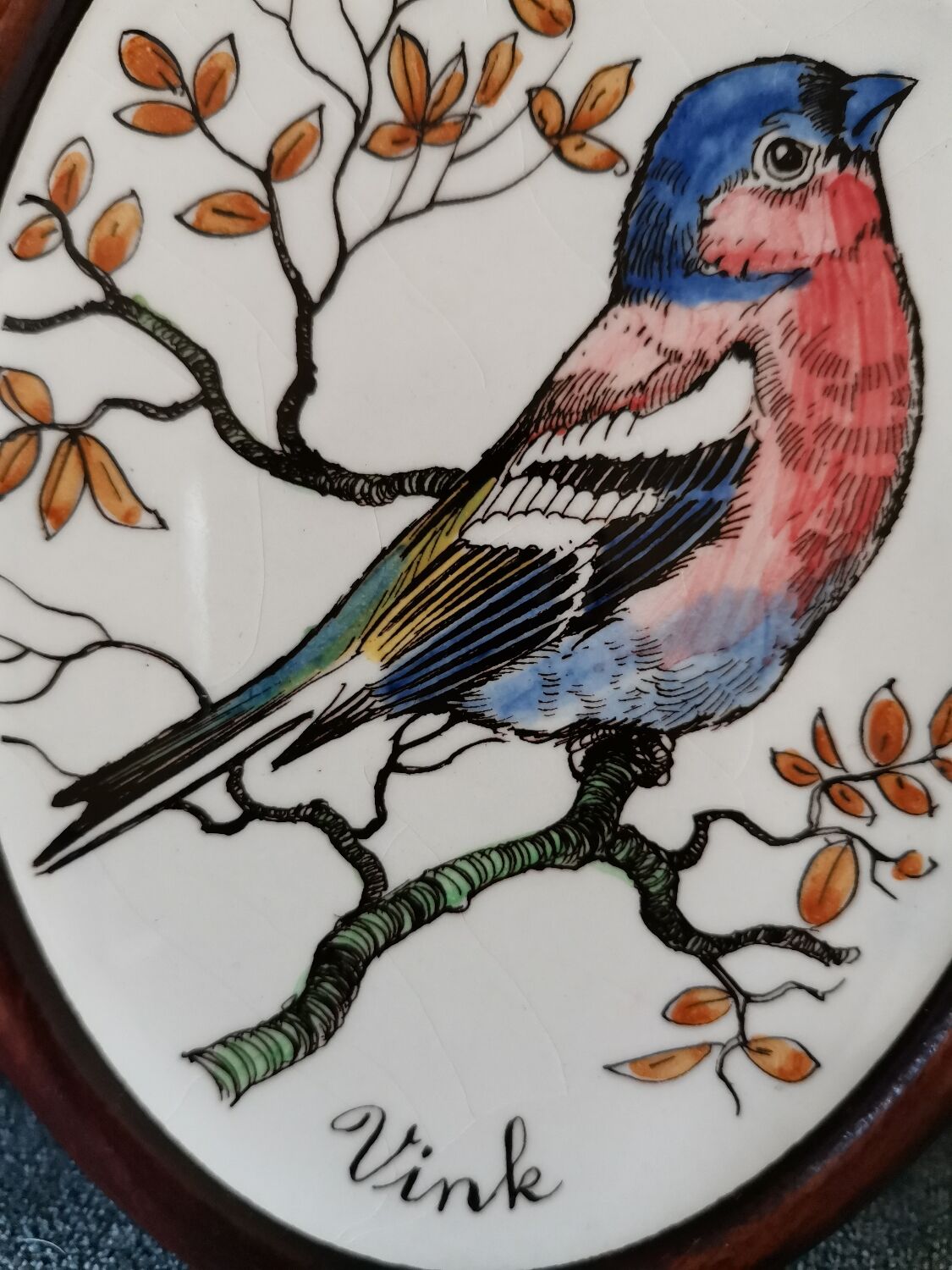 Bullfinch bird frame