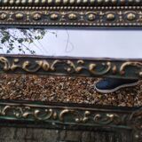 Antique mirror with copper moulding.