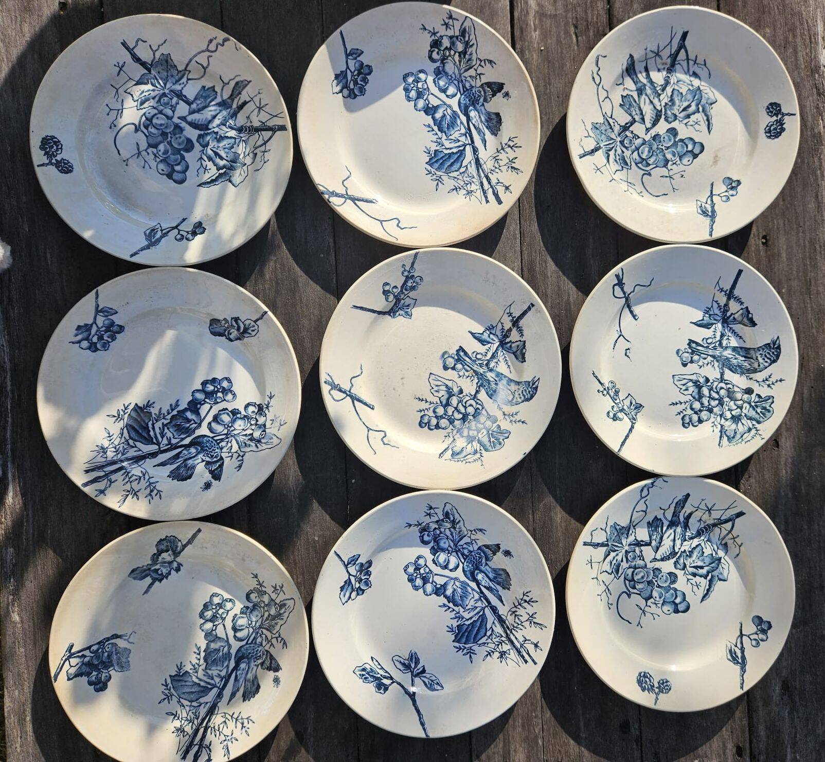 Antique 19th century plate, Terre de Fuego, blue with bird motif