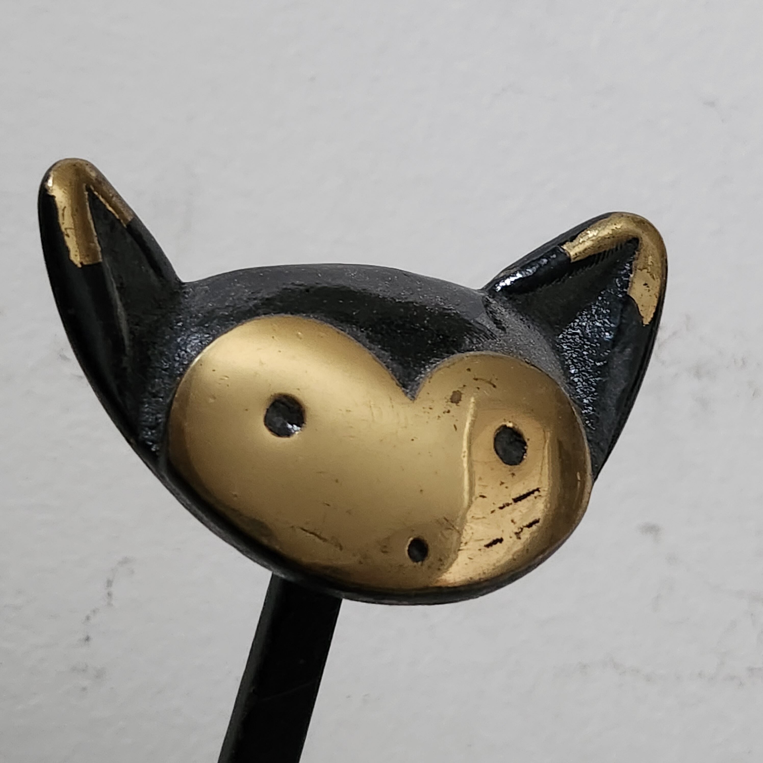 Cat wearing coat by Baller - Austria