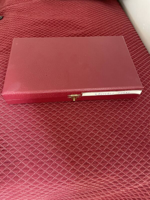 Coffret 12 couteaux de table fin 19 ème en corne