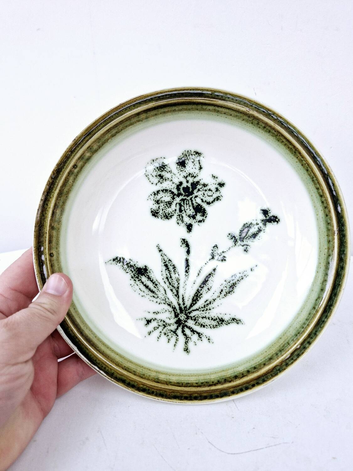 8 vintage hollow plates earthenware Gien model Herbiers table arts France