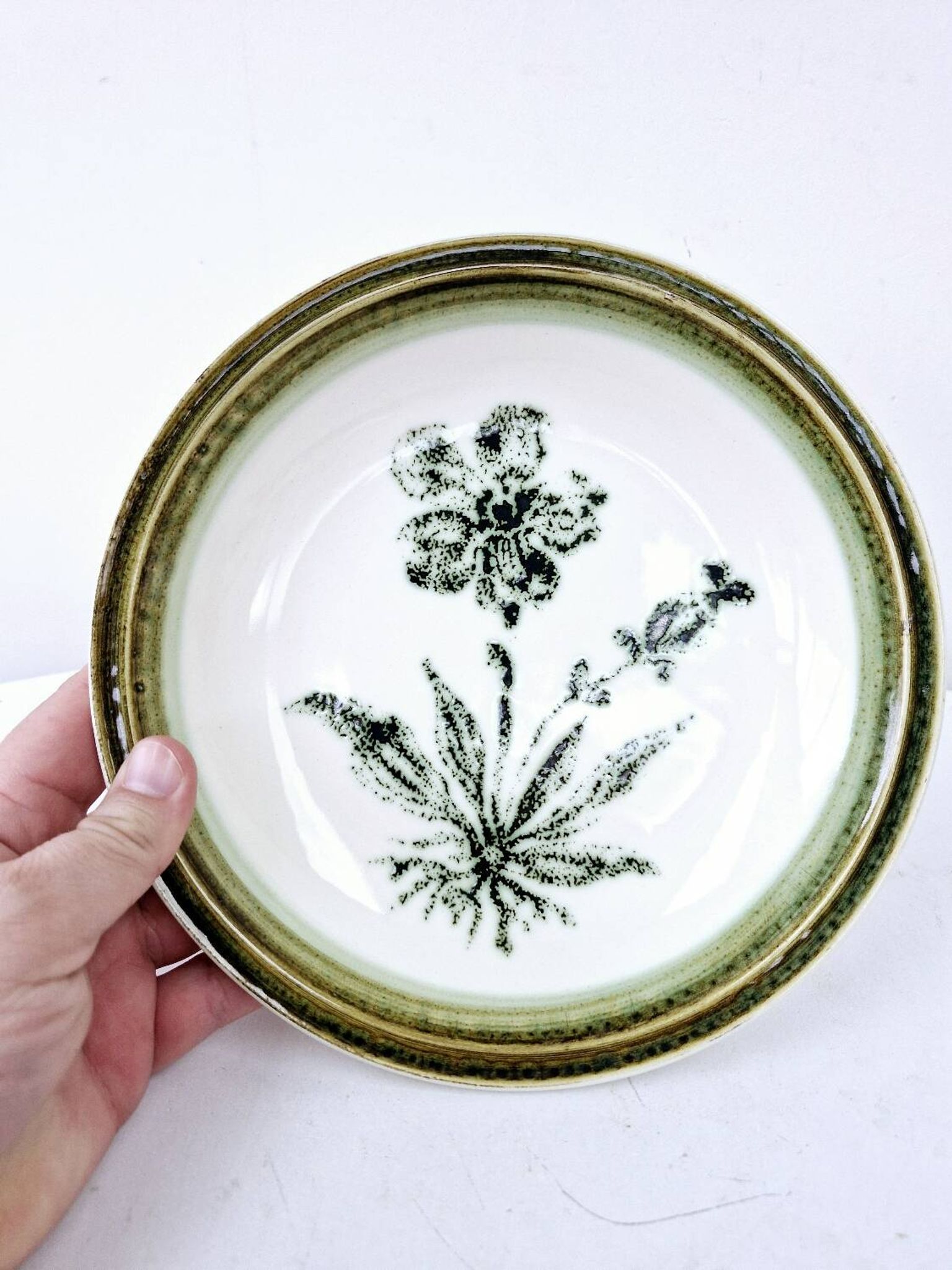 8 vintage hollow plates earthenware Gien model Herbiers table arts France
