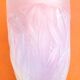 Opalescent glass vase in the shape of an urn Decorated with foliage and berries