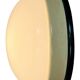 Industrial Bakelite Wall or Ceiling Light with Milk Glass, 1950s