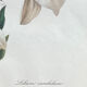 Botanical print, White Lily, P-J Redouté
