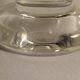 6 cups champagne English House Thomas WEBB Crystal