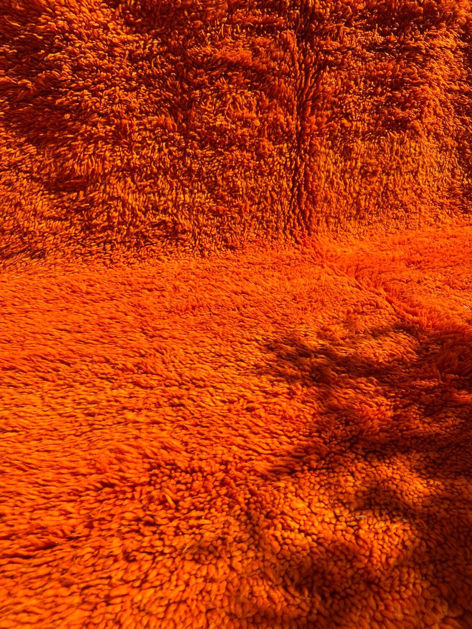Orange Grove Rug 200x300cm