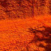 Orange Grove Rug 200x300cm