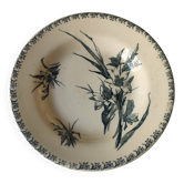 Assiette en terre de fer