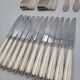 Ravinet d'Enfer silver plated cutlery set 38 pieces