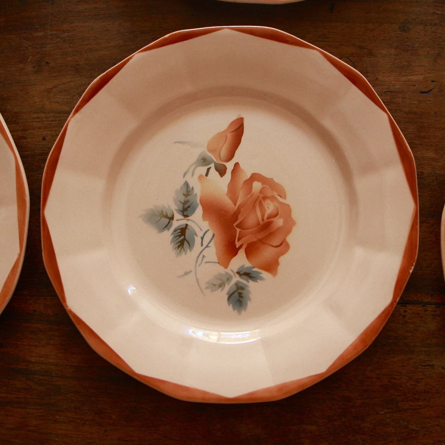 Assiettes plates DIgoin