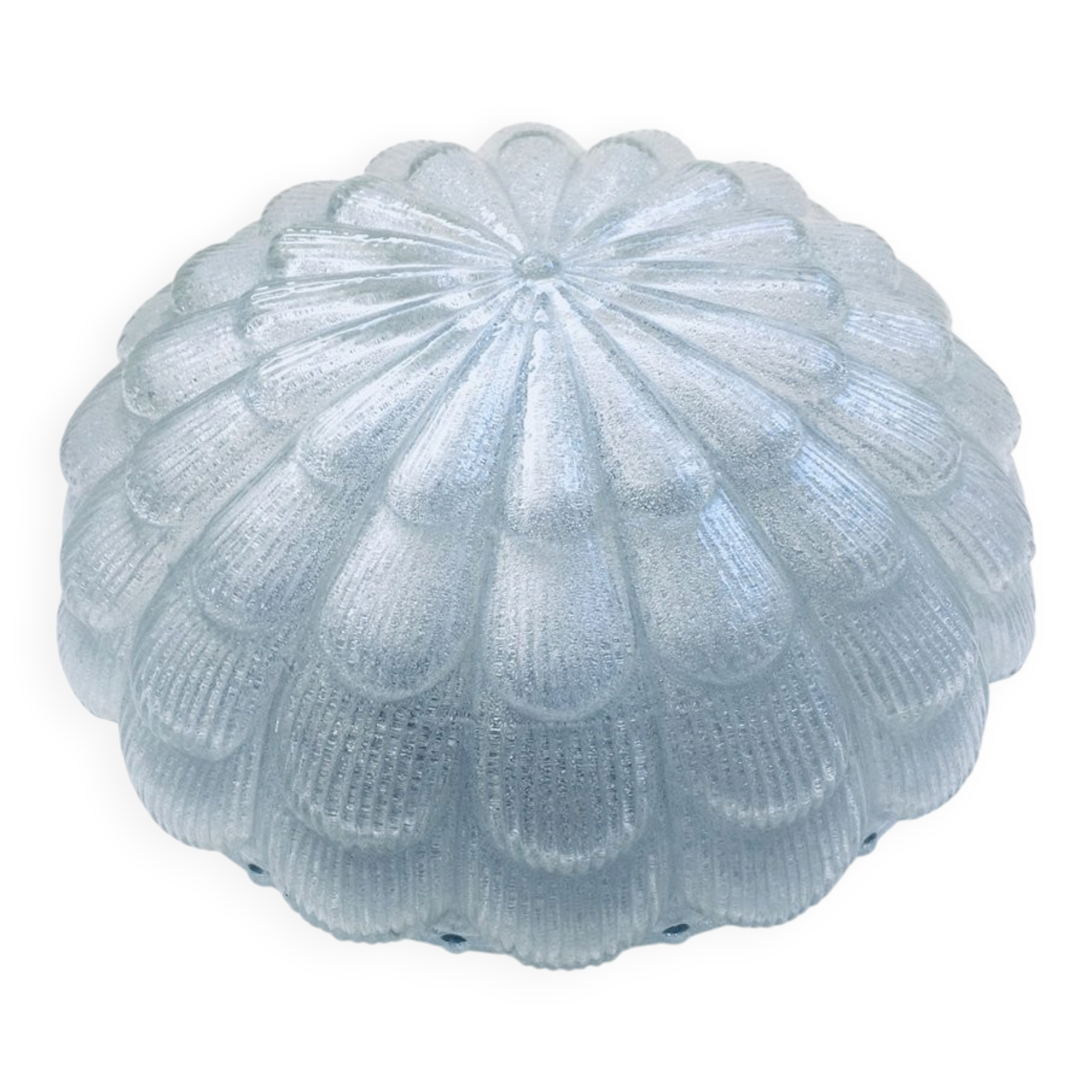 Large Frosted Flower Glass Sconce Wall Lamp from MCM, 1960s