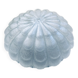 Large Frosted Flower Glass Sconce Wall Lamp from MCM, 1960s