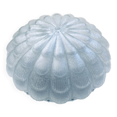 Large Frosted Flower Glass Sconce Wall Lamp from MCM, 1960s
