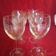 6 engraved water glasses with bunch of grapes