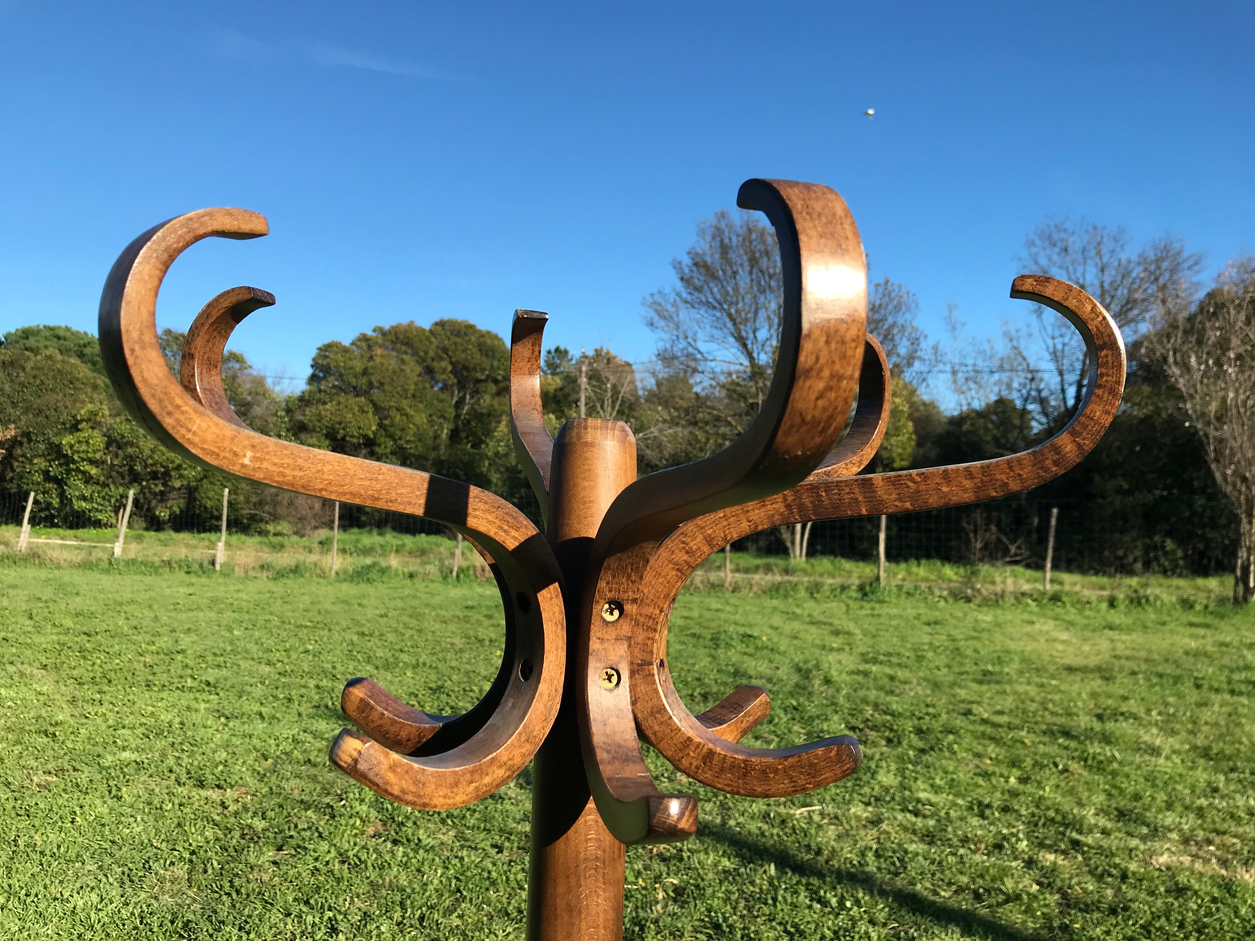 Curved wooden parrot coat door