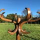 Curved wooden parrot coat door
