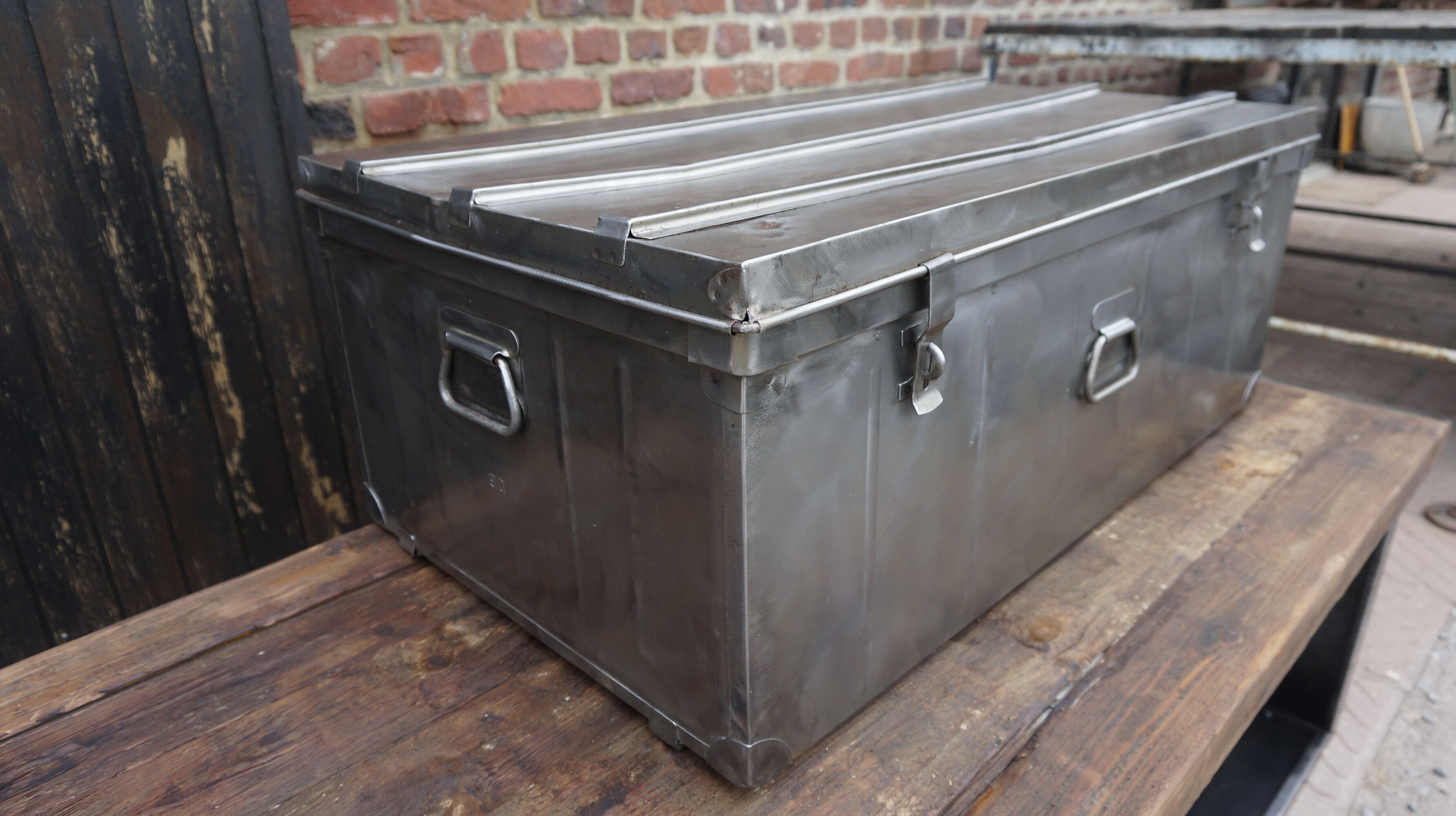 Trunk in metal brush