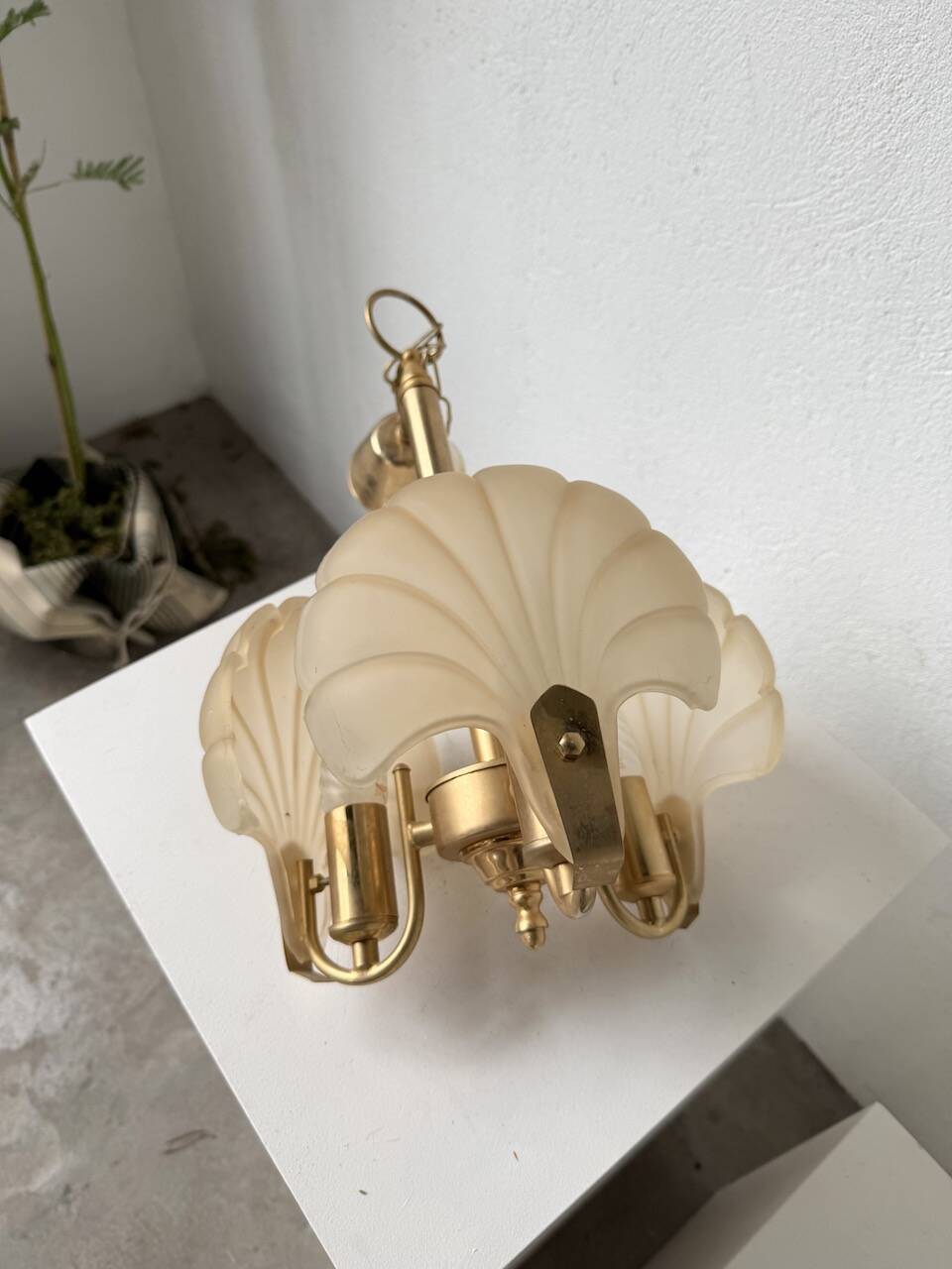 Shell and brass chandelier from the 70s