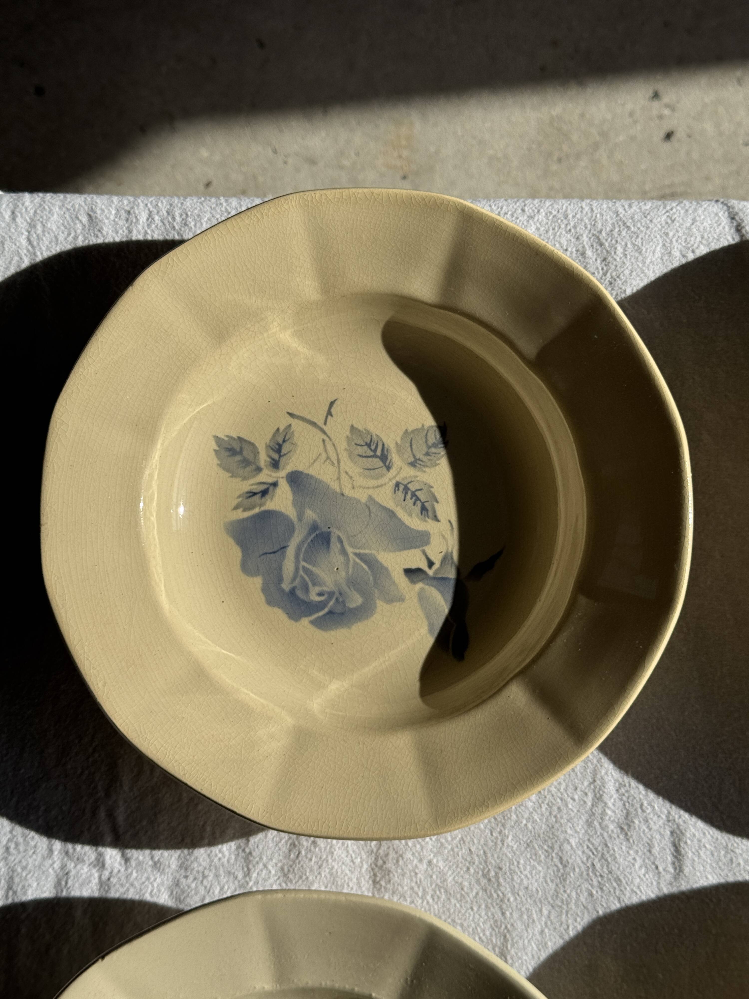 Set of 12 beige, pink, and blue deep plates from Digoin Sarreguemines, vintage.