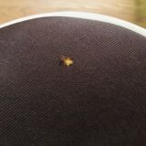 Tam Tam Stamp with cushion