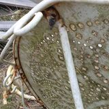 Ornate wrought iron garden table