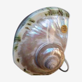 Vintage shell night light lamp from the 1960s