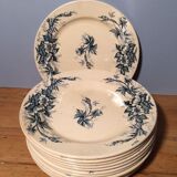 Suite of 12 land of iron plates