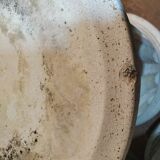 Pair of low Columns of Greco-Roman style concrete garden