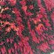 "Pirkka" rug by Laila Mikkonen in wool, 1960