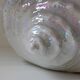 Large iridescent barbotine shell bowl, Italy vintage