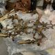 Large Italian Tole Gold Gilded Sconces Set of 2  1960’s 