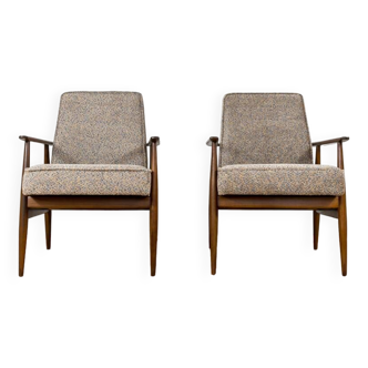 Paire de fauteuils du milieu du siècle, années 1960