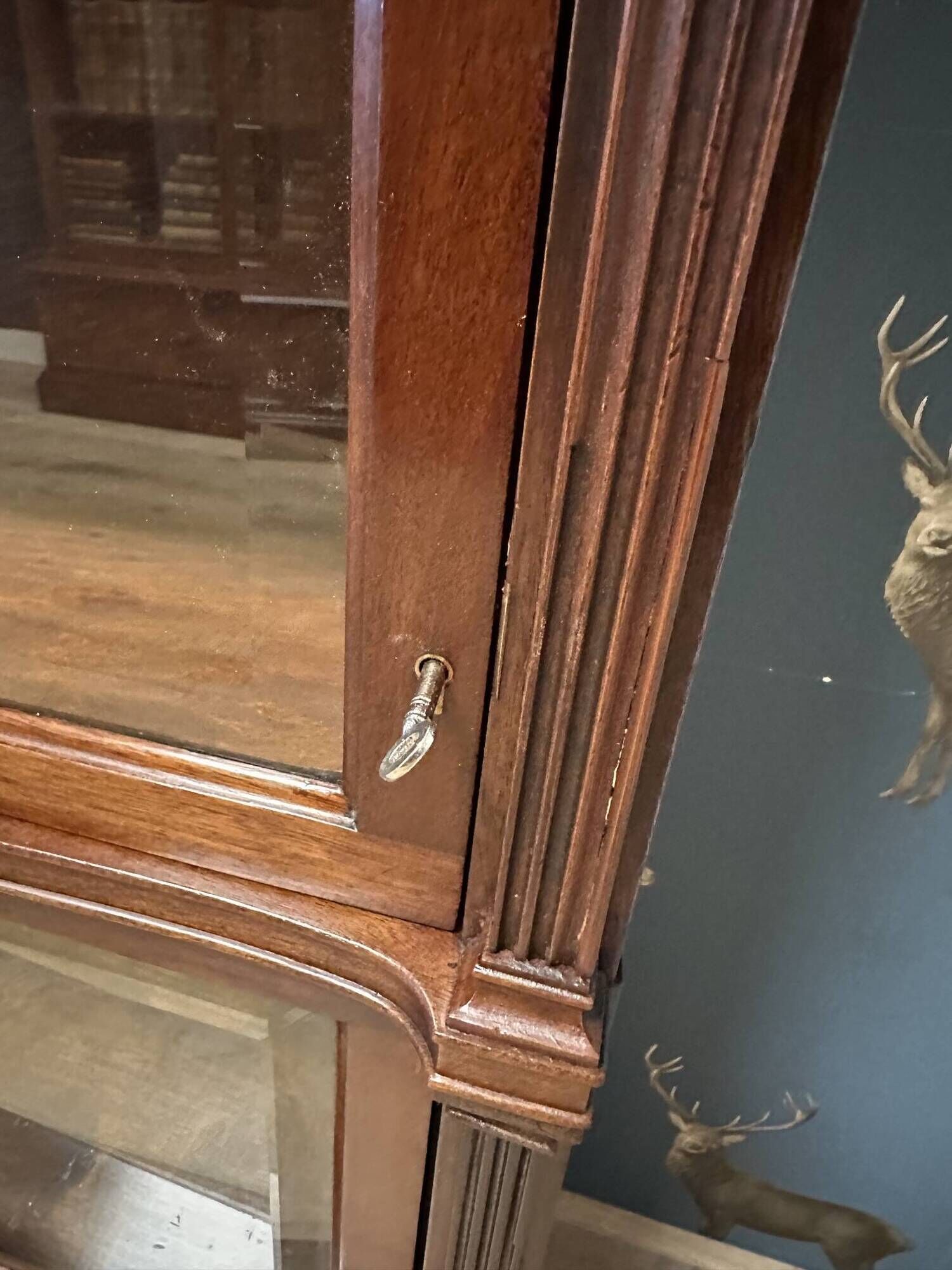 Special Globe Wernicke Bookcase