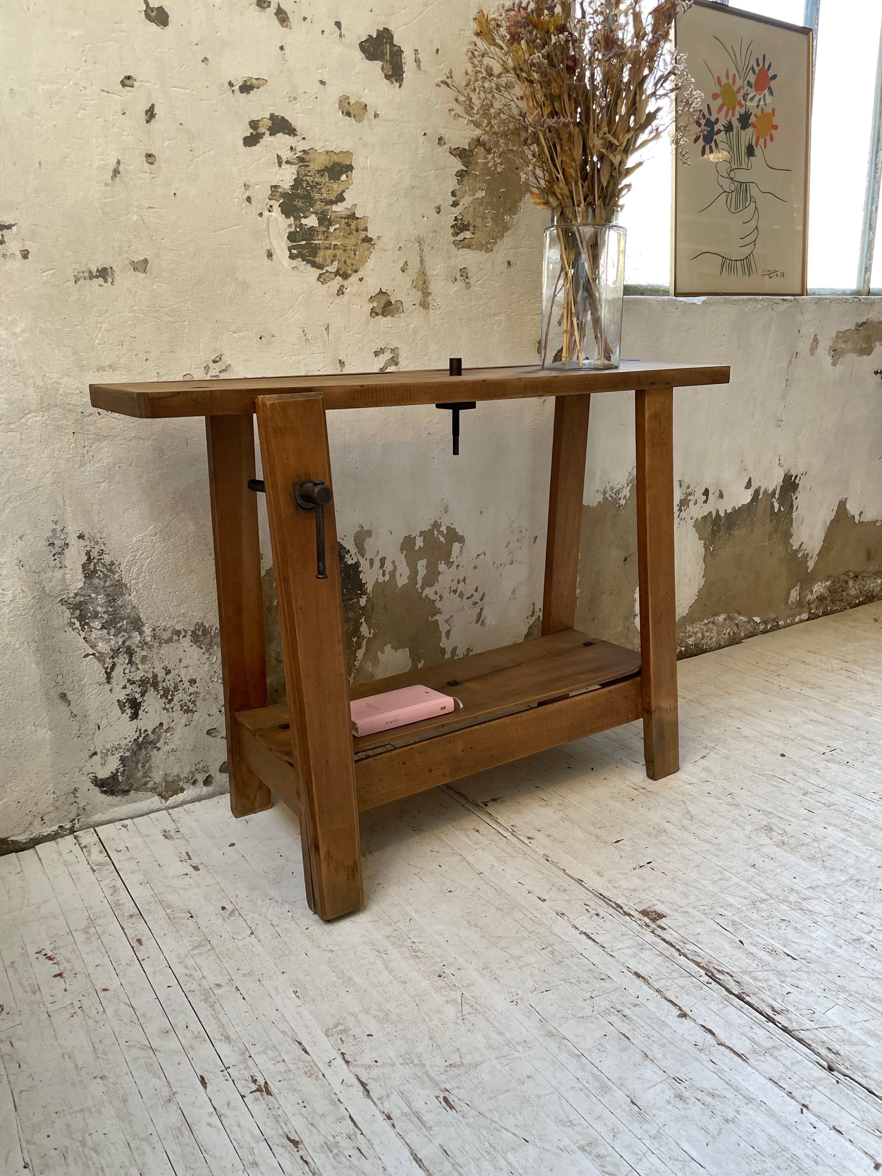 Established XS in cherry tree